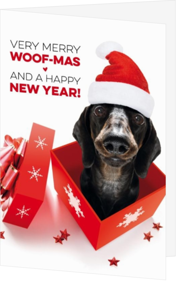 Kerstkaart - Hond in giftbox